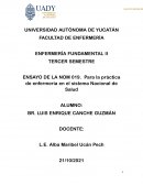 ENSAYO DE LA NOM 019. Para la práctica de enfermería en el sistema Nacional de Salud