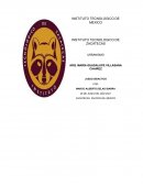 JUEGO DIDACTICO DE URBANIZACION