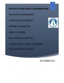 CUADRO CLASIFICATORIO: LAS NORMAS PROTECTORAS DEL SALARIO