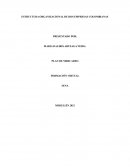 ESTRUCTURA ORGANIZACIONAL DE DOS EMPRESAS COLOMBIANAS