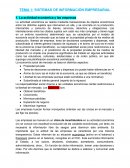 SISTEMAS DE INFORMACIÓN EMPRESARIAL