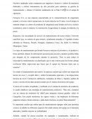 Mantenimiento de las instalaciones