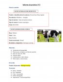 Toma de muestra de heces Tipo de examen: Examen coprológico