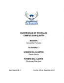 IMPORTANCIA DE LA SEXUALIDAD HUMANA EN EL SIGLO XXI