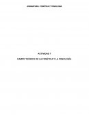 CAMPO TEÓRICO DE LA FONÉTICA Y LA FONOLOGÍA