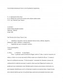 La película “Coco”