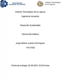 Informe Brundtland. Página 1