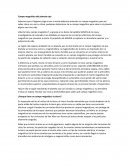 Campo magnético del planeta rojo