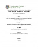 La influencia de la caseína yodada en la nutrición de vacas lecheras