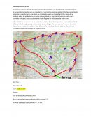 Densidad de corrientes