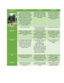 Determinantes Arquitectura