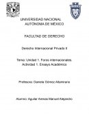Foros internacionales. Actividad 1. Ensayo Académico
