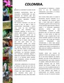 ¿Quién es Colombia?