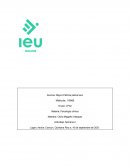 Reporte integrativo de un caso clínico de trastorno por Depresión Mayor