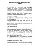 Especifícanos Técnicas Puente Peatonal