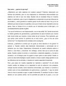 Soy como... ¿qué es lo que soy?