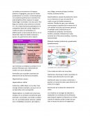 Historia ed ciudadana