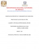 PRACTICA DE FLUJO DE SALIVA Y PDB