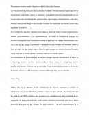 Mecanismos constitucionales de protección de los derechos humanos