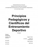 Principios Pedagógicos y Científicos del Entrenamiento Deportivo