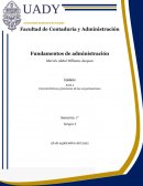 Características y funciones de las organizaciones. RYC Alimentos, S.A. de C.V