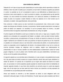 UNA CHISPA DE LIBERTAD