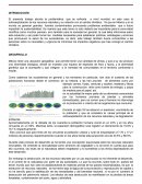 Sobreexplotación de recursos naturales
