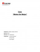 Ensayo informe caso "mieles del maipo"