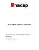 Capital humano, motivacion y productividad