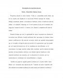 Descripción de mi practica docente