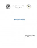 México prehispánico.Teoría de científico Alex Hrdlicka