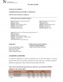 El Sector lácteo- derivados en Cajamarca. Perfil General de la Principales Empresas