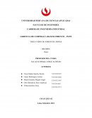 TAREA VIDEO DE AMIGOS DE ARMAS