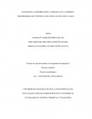 ESTUDIO DE LA DISTRIBUCIÓN Y LOGÍSTICA EN LA EMPRESA