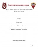 Tema Ensayo: Política en México