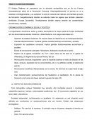 ORGANIZACIÓN ECONÓMICA, SOCIAL Y POLÍTICA