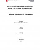 Proyecto Emprendedor de Plan de Mejora
