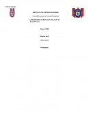 LABORATORIO DE BIOLOGIA CELULAR DE EUCARIOTES