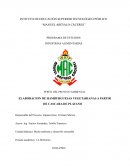 ELABORACION DE HAMBURGUESAS VEGETARIANAS A PARTIR DE CASCARA DE PLATANO