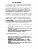 VENTAJAS COMPETITIVAS