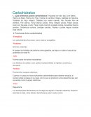 Funciones de los carbohidratos