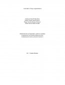Administración en seguridad y salud en el trabajo