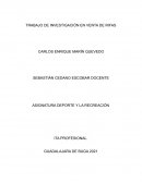 TRABAJO DE INVESTIGACIÓN EN VENTA DE RIFAS