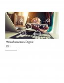 MI LANITA Plan de Negocios