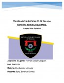 Conduccion vehicular