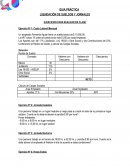 GUIA PRÁCTICA LIQUIDACIÓN DE SUELDOS Y JORNALES