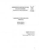 LABORATORIO N°3 METALURGIA FISICA. TERMOCUPLA