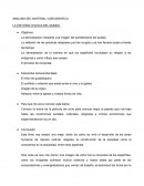 ANÁLISIS DEL MATERIAL VIDEOGRÁFICO. LA HISTORIA CHUSCA DEL MUNDO