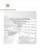 ESPÁRRAGOS EN CONSERVA AL MERCADO DE ALEMANIA