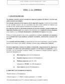 MIPYME Y SU ENTORNO EN ESPAÑA